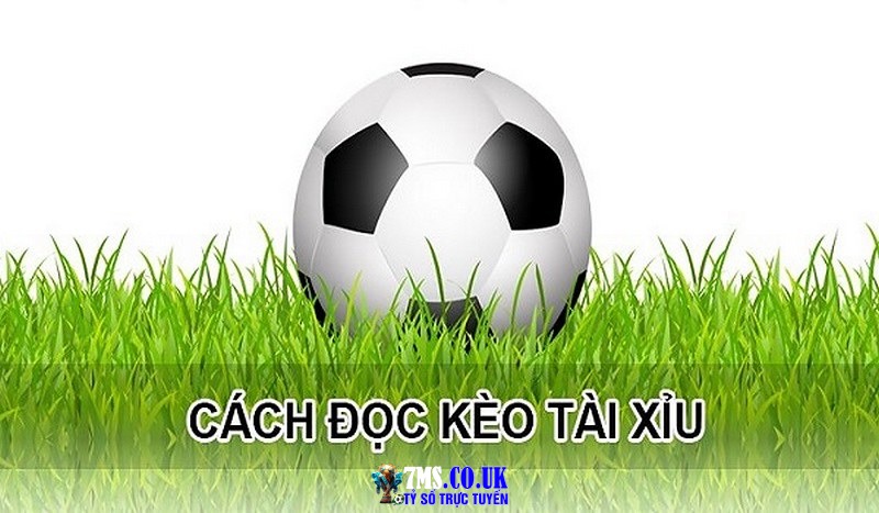 Cách đọc kèo bóng đá - tài xỉu