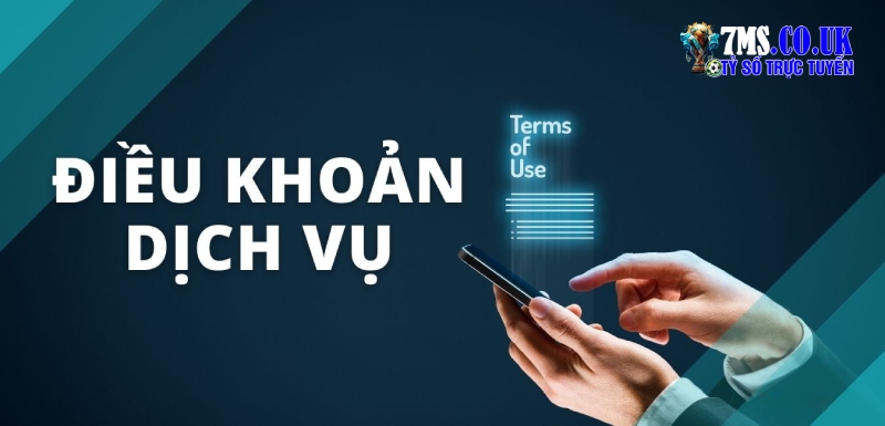 Quyền hạn và trách nhiệm của 7M